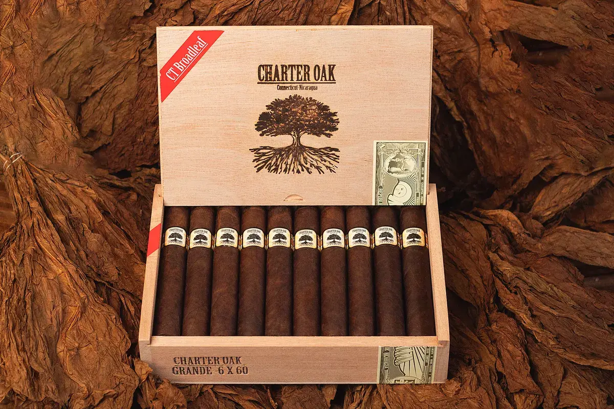Foundation Cigar Co. Charter Oak Maduro Grande Cigar